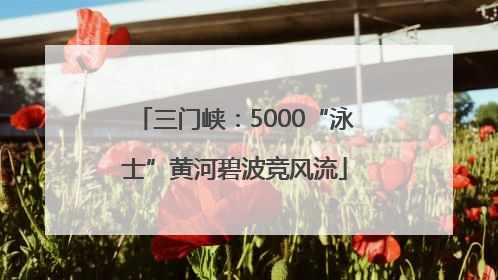 三门峡：5000“泳士”黄河碧波竞风流