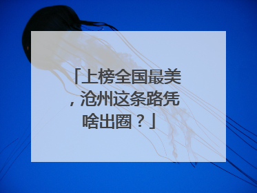 上榜全国最美，沧州这条路凭啥出圈？