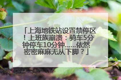 上海地铁站设置禁停区！上班族崩溃：骑车5分钟停车10分钟……依然密密麻麻无从下脚？