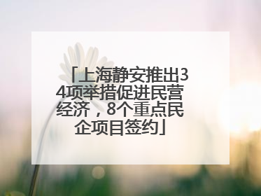 上海静安推出34项举措促进民营经济，8个重点民企项目签约