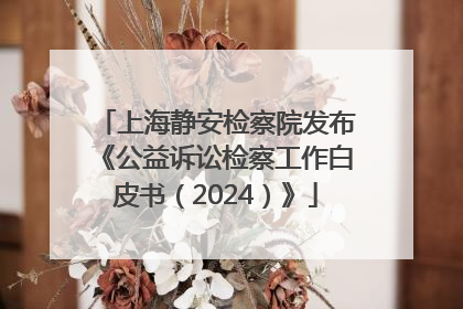 上海静安检察院发布《公益诉讼检察工作白皮书（2024）》