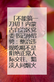 不能搞一刀切！内蒙古自治区党委书记孙绍骋：整治违规吃喝不是阻绝正常人际交往、黯淡人间烟火