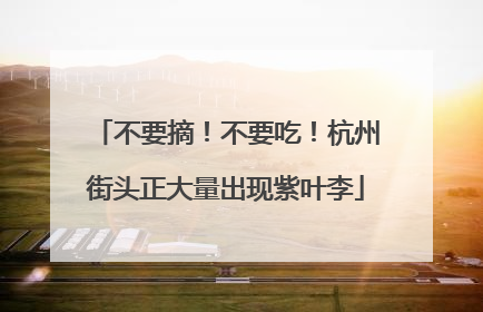 不要摘！不要吃！杭州街头正大量出现紫叶李
