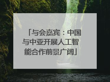 与会嘉宾：中国与中亚开展人工智能合作前景广阔