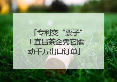 专利变“票子”！宜昌茶企凭它撬动千万出口订单