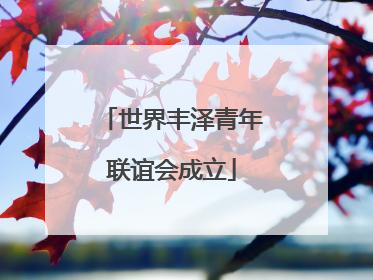 世界丰泽青年联谊会成立