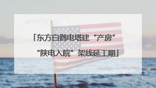 东方白鹳电塔建“产房” “陕电入皖”架线延工期