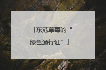 东港草莓的“绿色通行证”