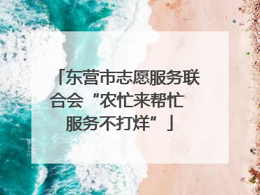 东营市志愿服务联合会“农忙来帮忙 服务不打烊”