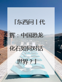 东西问丨代辉：中国恐龙化石如何对话世界？