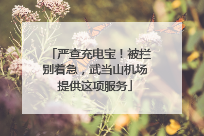严查充电宝！被拦别着急，武当山机场提供这项服务
