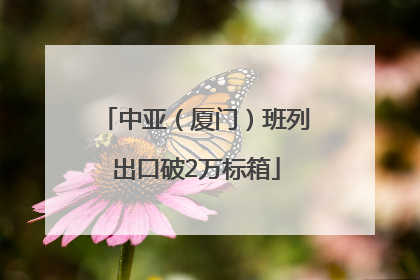 中亚（厦门）班列出口破2万标箱