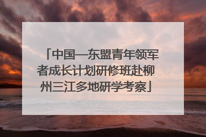 中国—东盟青年领军者成长计划研修班赴柳州三江多地研学考察