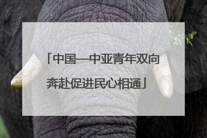 中国—中亚青年双向奔赴促进民心相通