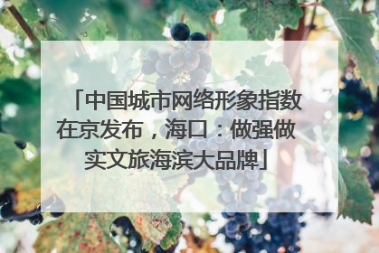中国城市网络形象指数在京发布，海口：做强做实文旅海滨大品牌