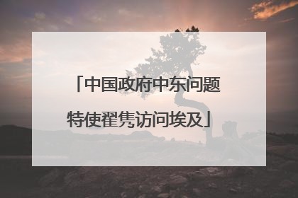中国政府中东问题特使翟隽访问埃及