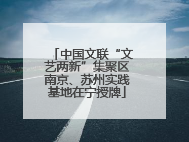 中国文联“文艺两新”集聚区南京、苏州实践基地在宁授牌