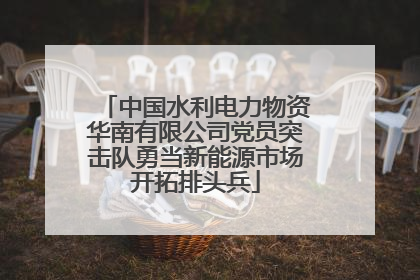 中国水利电力物资华南有限公司党员突击队勇当新能源市场开拓排头兵