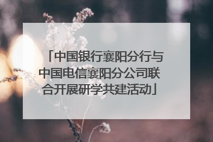 中国银行襄阳分行与中国电信襄阳分公司联合开展研学共建活动