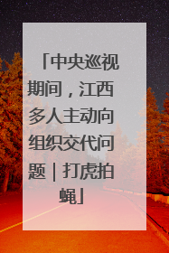 中央巡视期间，江西多人主动向组织交代问题｜打虎拍蝇