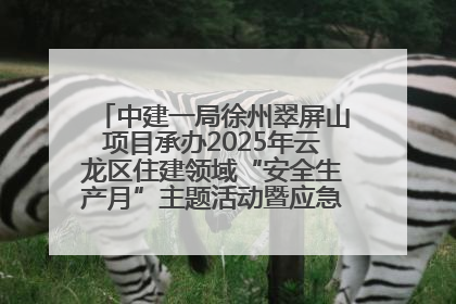 中建一局徐州翠屏山项目承办2025年云龙区住建领域“安全生产月”主题活动暨应急救援演练观摩会