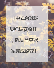 中式台球球员锦标赛收杆，陈喆首夺冠军完成蜕变