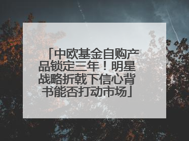 中欧基金自购产品锁定三年！明星战略折戟下信心背书能否打动市场