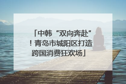 中韩“双向奔赴”！青岛市城阳区打造跨国消费狂欢场