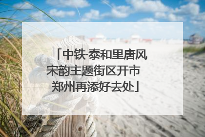 中铁·泰和里唐风宋韵主题街区开市 郑州再添好去处