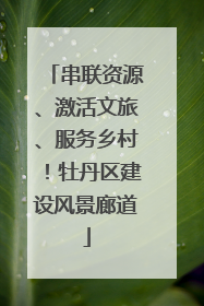 串联资源、激活文旅、服务乡村！牡丹区建设风景廊道