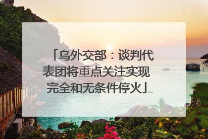 乌外交部：谈判代表团将重点关注实现完全和无条件停火