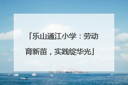 乐山通江小学：劳动育新苗，实践绽华光
