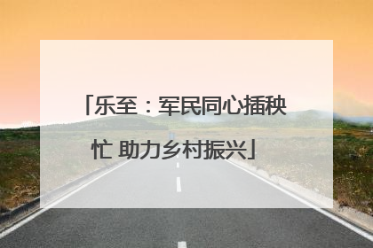 乐至：军民同心插秧忙 助力乡村振兴