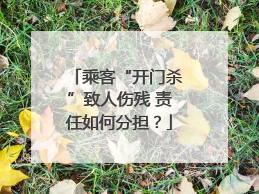 乘客“开门杀”致人伤残 责任如何分担？