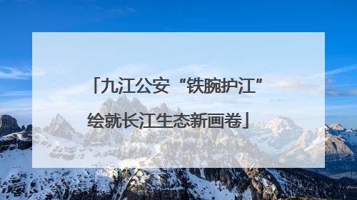 九江公安“铁腕护江”绘就长江生态新画卷