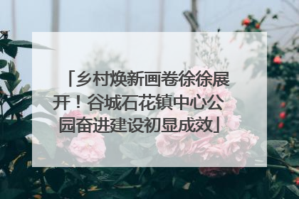 乡村焕新画卷徐徐展开！谷城石花镇中心公园奋进建设初显成效