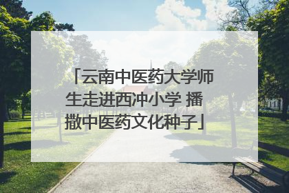 云南中医药大学师生走进西冲小学 播撒中医药文化种子