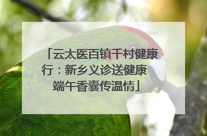 云太医百镇千村健康行：新乡义诊送健康 端午香囊传温情