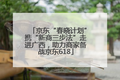 京东“春晓计划”携“新商三步法”走进广西，助力商家备战京东618