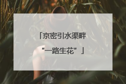 京密引水渠畔“一路生花”