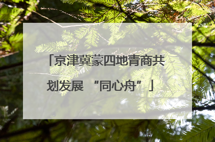 京津冀蒙四地青商共划发展 “同心舟”