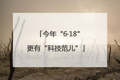今年“6·18”更有“科技范儿”