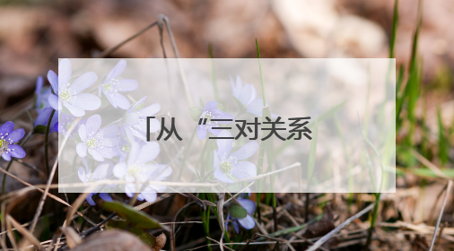 从“三对关系”看城市更新的历城路径