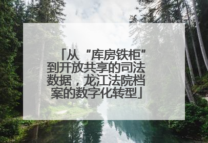 从“库房铁柜”到开放共享的司法数据，龙江法院档案的数字化转型