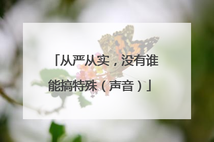 从严从实，没有谁能搞特殊（声音）
