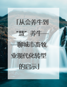 从会养牛到“慧”养牛——聊城市畜牧业现代化转型的启示