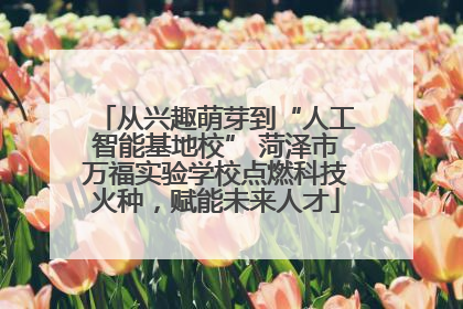 从兴趣萌芽到“人工智能基地校” 菏泽市万福实验学校点燃科技火种，赋能未来人才