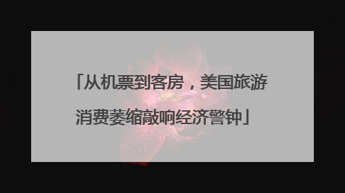 从机票到客房，美国旅游消费萎缩敲响经济警钟
