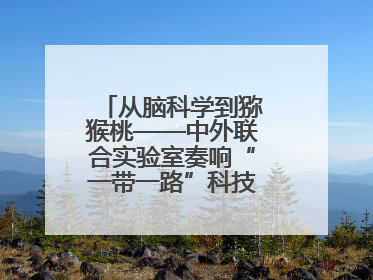 从脑科学到猕猴桃——中外联合实验室奏响“一带一路”科技合作交响曲