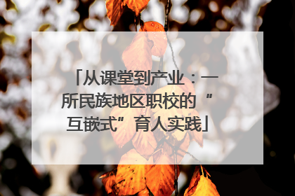 从课堂到产业：一所民族地区职校的“互嵌式”育人实践